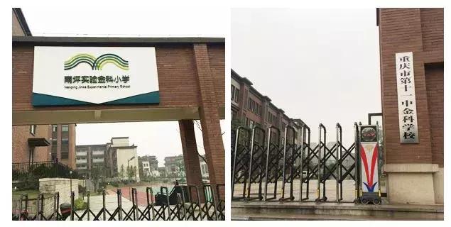 茶园真的不值得买吗,茶园太贵