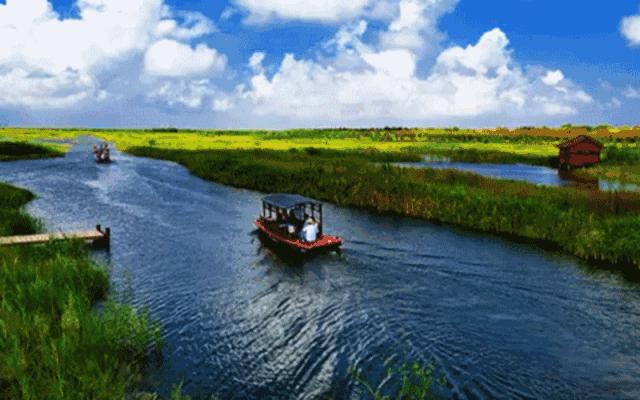 宁波杭州湾世纪城在哪个区,宁波杭州湾新区发展历程