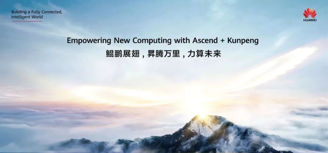 华为服务器与存储器哪个贵,华为为什么做服务器