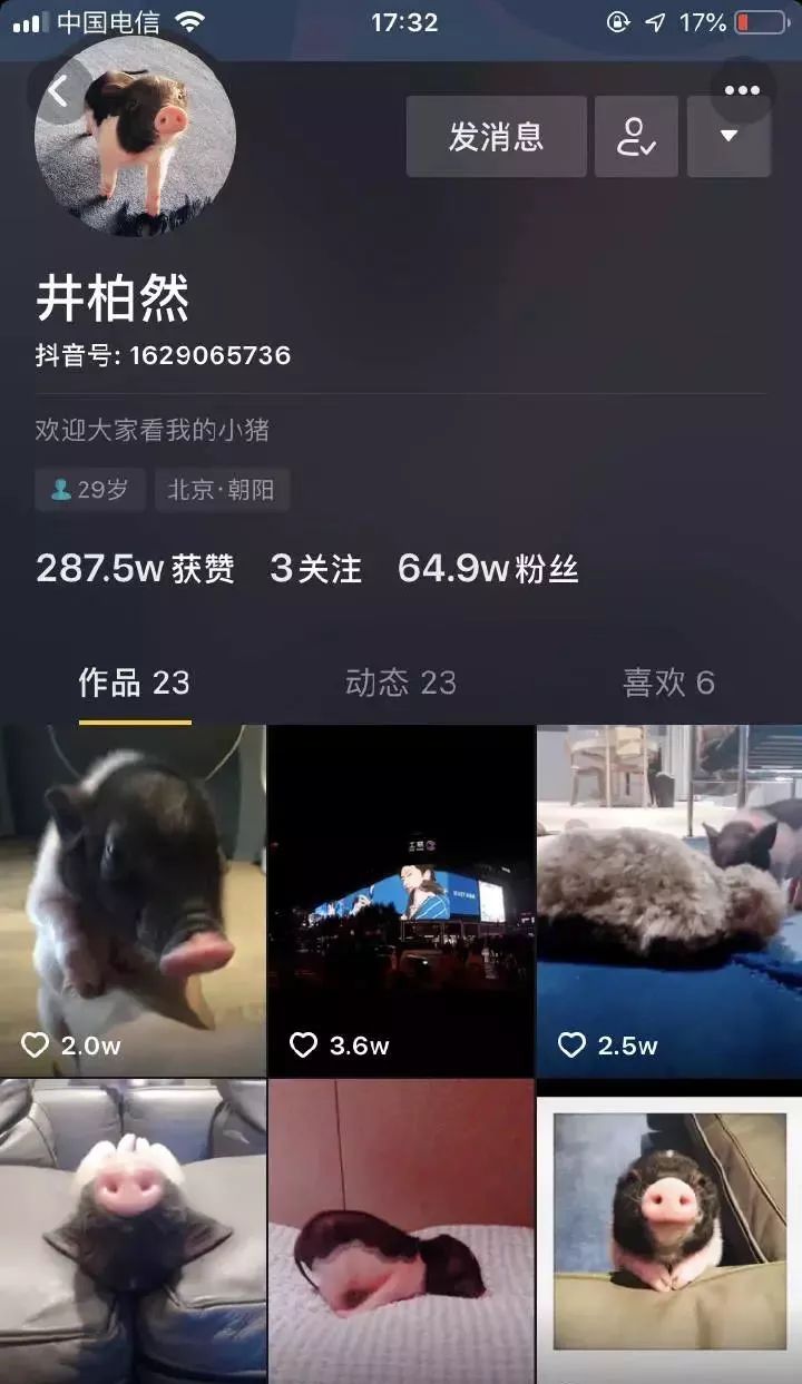 猪年元素单品有哪些,猪年限定系列