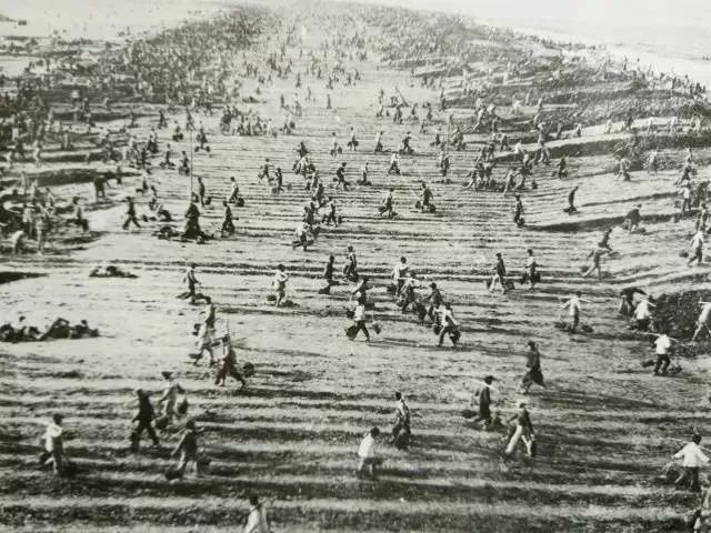 第二次下沙大围垦,杭州钱塘新区围垦历史