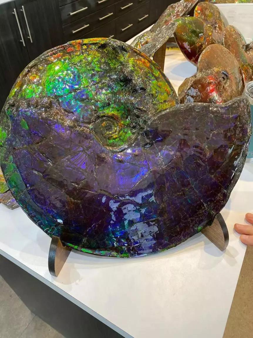 加拿大矿区斑彩石,斑彩宝石矿