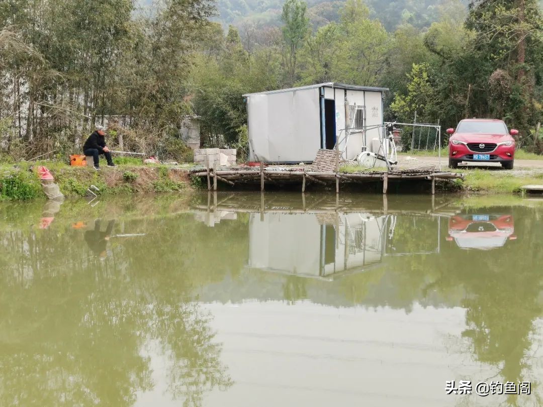 钓太阳鱼怎么选钓位视频,钓太阳鱼怎么选地方钓最好