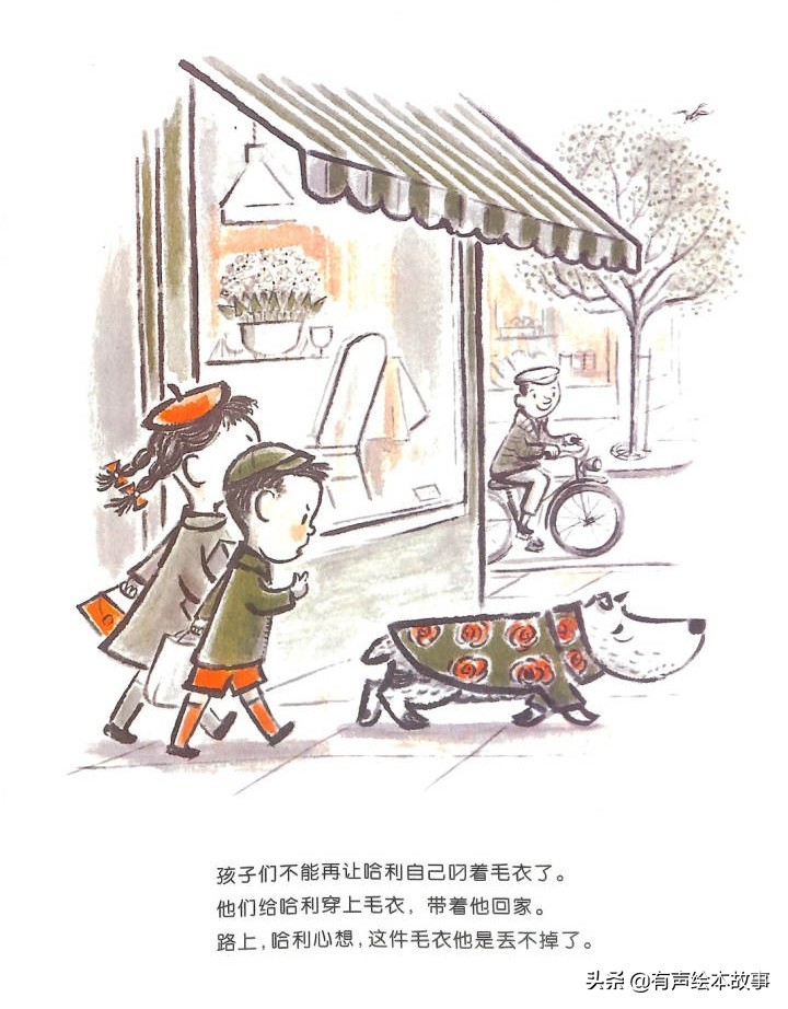 儿童故事哈利的花毛衣,哈利不可以有声绘本故事