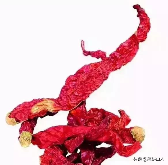 干辣椒在烹饪中的作用,干辣椒如何加工好吃