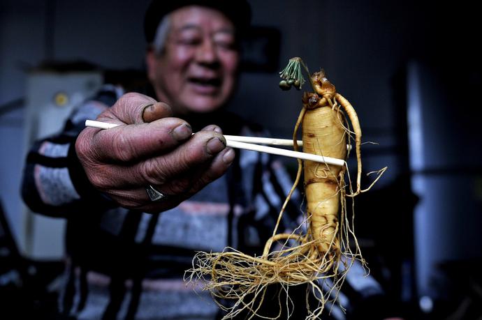 人参归脾丸的十大神奇功效,人参肽神奇功效