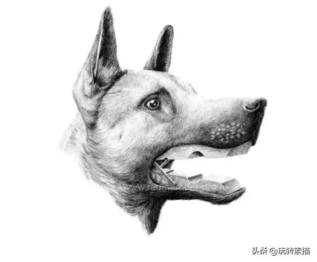 小清新素描黑白插画,看似抽象实则写实的画