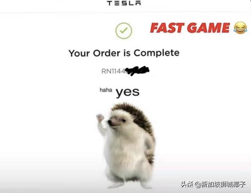 全世界最贵的特斯拉，花了100万！深扒为什么新加坡买车这么贵