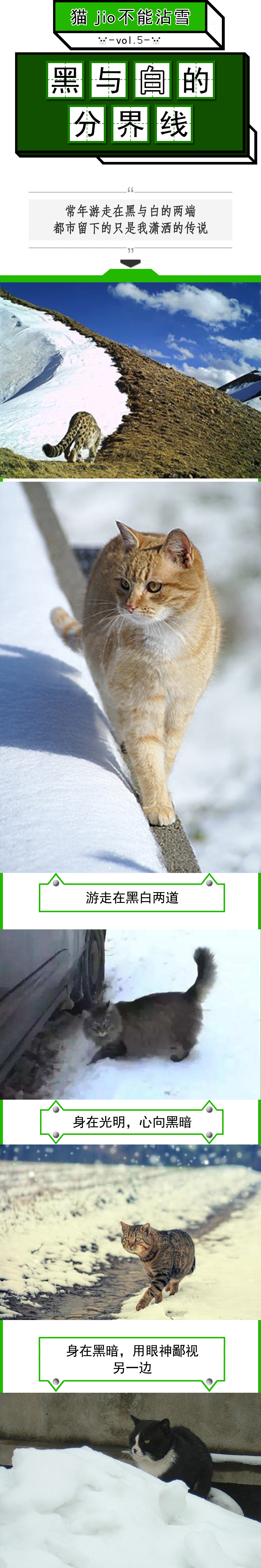 猫爪为什么那么有力,猫爪那么锋利猫舔手不会受伤吗