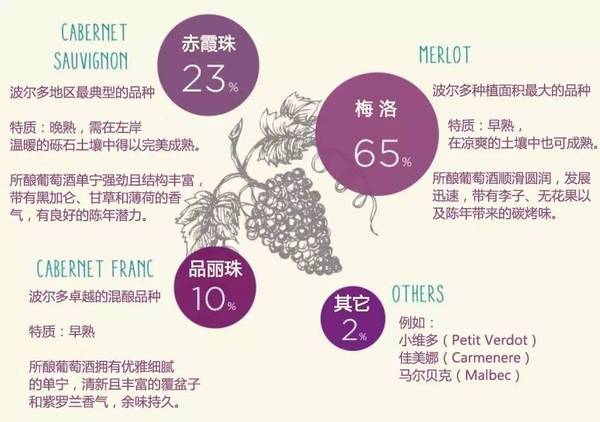 波尔多蓝裕文化酒庄,蓝裕文化酒庄设计系列