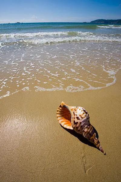 印象海南岛歌曲,印象海南岛海口