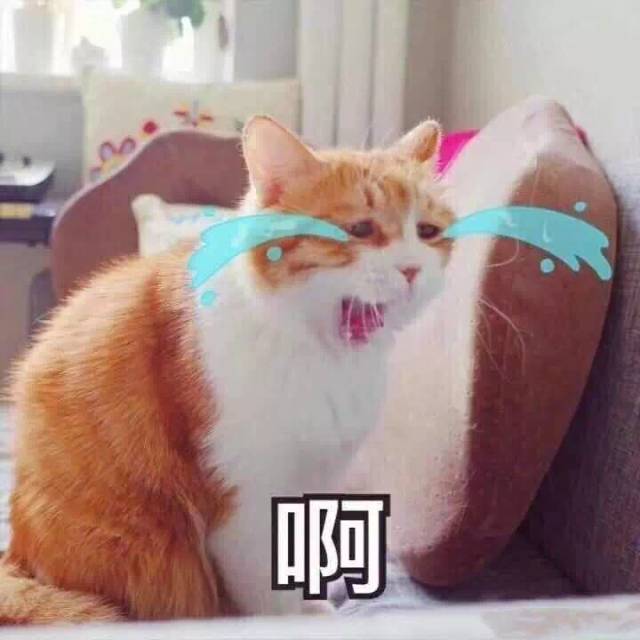 谢娜江疏影对比照,江疏影和谢娜对比照