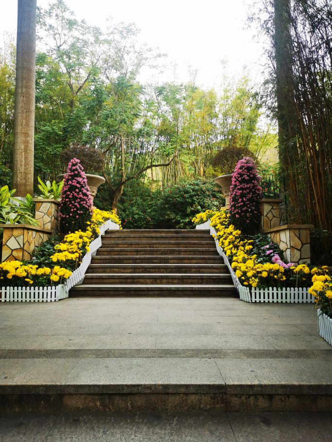 深圳宝安海滨公园游园图,深圳市娱乐场所