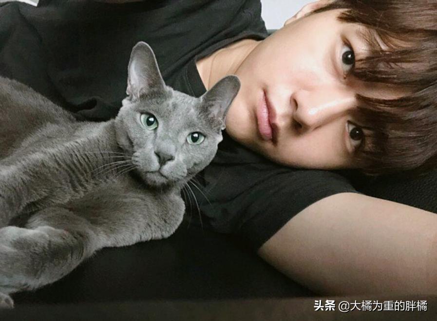 白猫“化身”*男美**子，与主人甜蜜同居，猫咪治愈剧《快过来》真甜