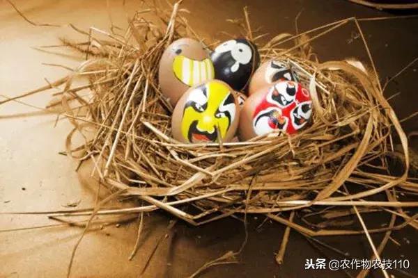 艺术与农业的饕餮盛宴,艺术与农产品结合的创新之处