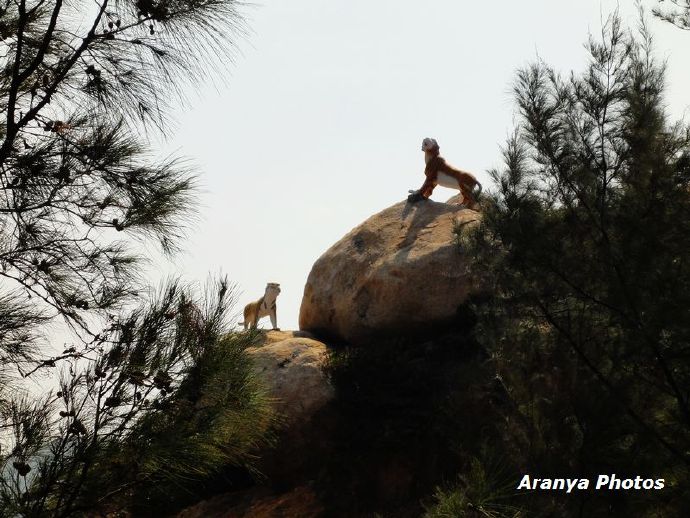 福建漳州浯屿岛,福建漳州东山岛鼓浪屿