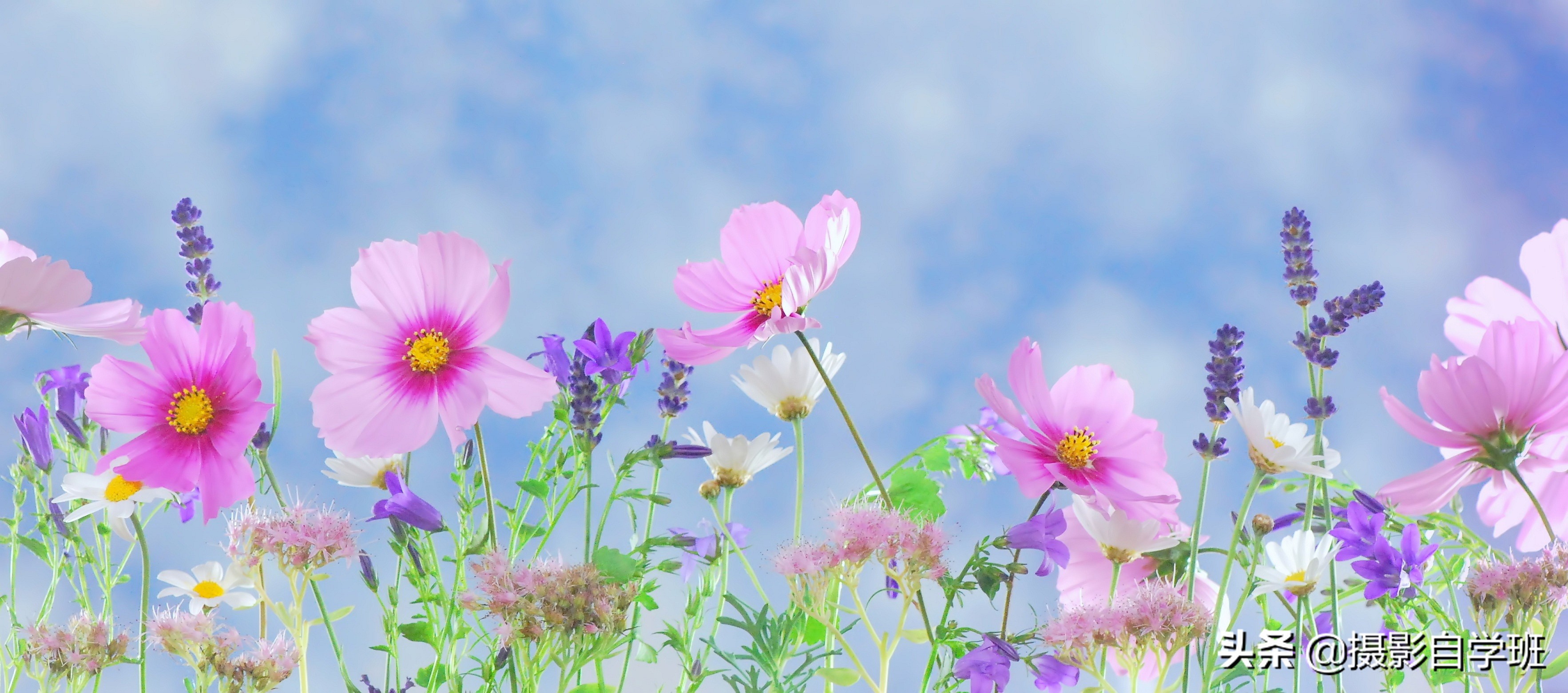 自学摄影全套摄影口诀表,记住摄影口诀想拍不好也难