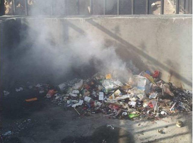 被打掉的胎儿都去哪,被打掉的胎儿