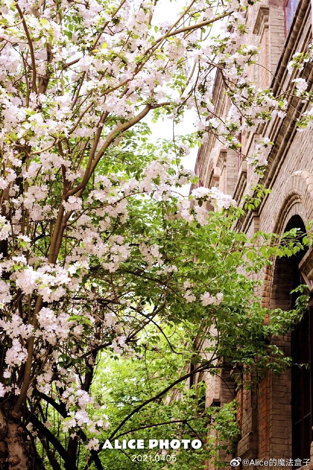 重庆南开中学在全国排名,南开中学很有名吗