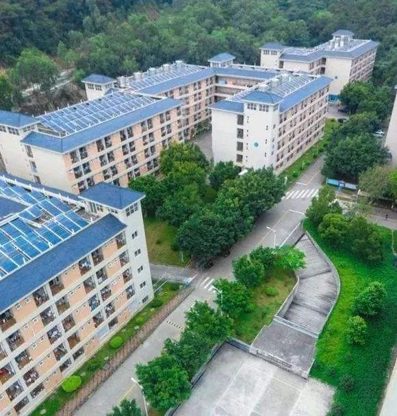 广东高职高考看院校,广州番禺高职高考有什么专业