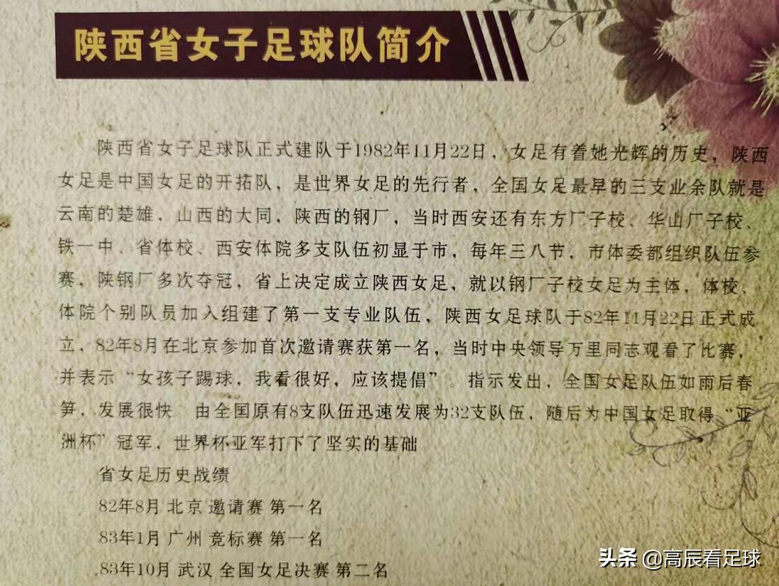 陕西足球往事,2017年陕西女足