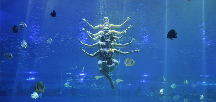 重庆汉海海洋公园探险,重庆汉海海洋公园介绍