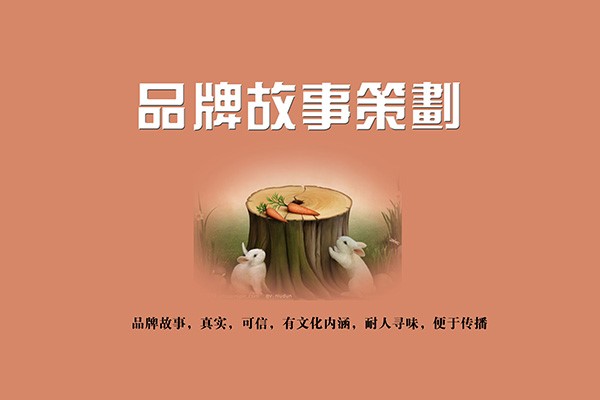 缃戠珯寤鸿鍝佺墝绛栧垝妗堜緥鍒嗘瀽,缃戠珯鍝佺墝绛栧垝涓氬姟鍜ㄨ