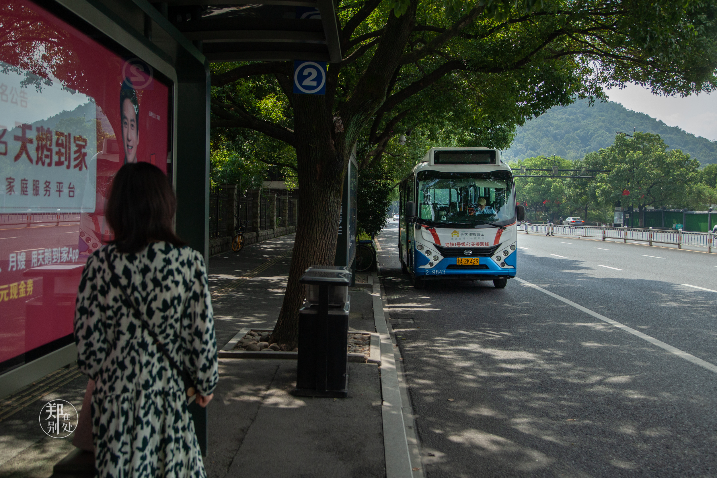 坐公交游杭州几路最好,杭州87路公交沿路风景