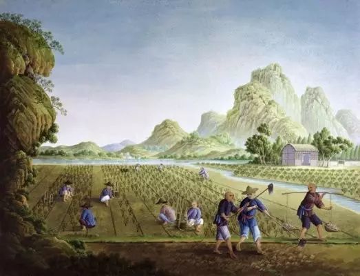 我们未来的婚姻制度真的会消失吗,婚姻制度会不会在未来走向瓦解