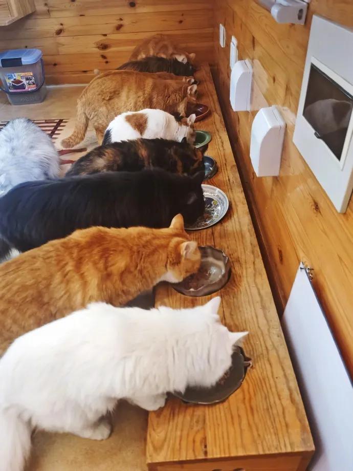 浣犺兘鐚滃嚭璋佺畻鎴戣緭,浣犵寽寰楀嚭鏉ョ畻鎴戣緭