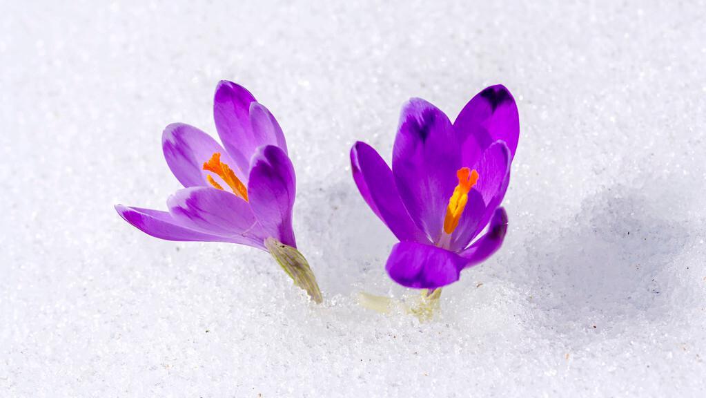 教师腹有诗书气自华,读新时代教师专业成长的读后感