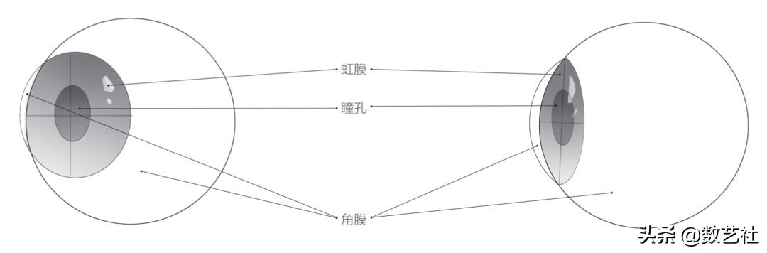 手绘大触在线换脸用的什么软件,绘画大触在线改画