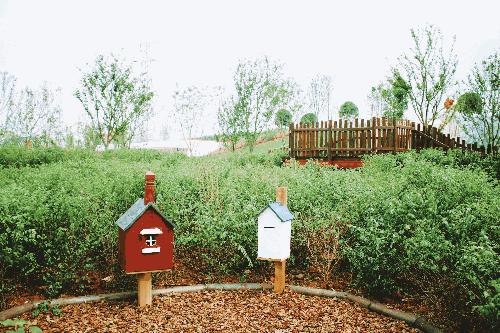 当网红“阿狸”遇到田野农场,实现IP变现新路径