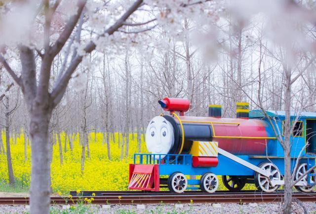 五月拍照适合什么主题,6月适合的拍摄主题