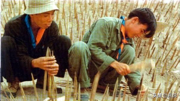 越军遍设竹尖陷阱,外加毒蛇,美军闻风丧胆,不敢收尸