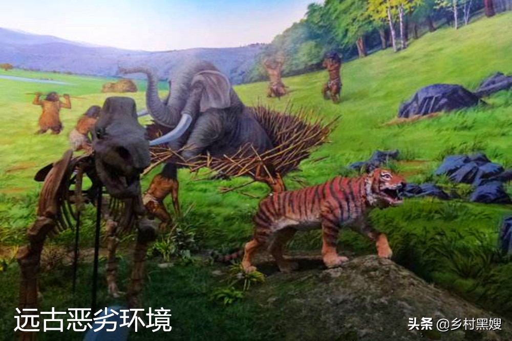 农作物棉花来自哪里？是国产吗？一口气搞懂棉花的前世今生