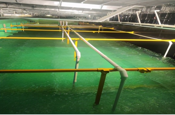 宿州高新区招商引资,宿州高新区招商政策