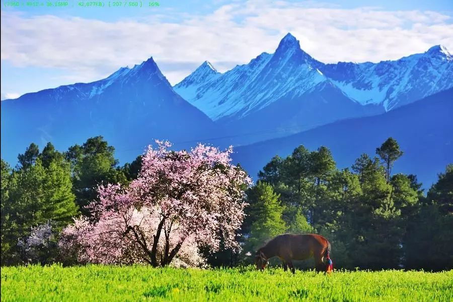 春天去哪里呢歌词,春天去哪里啊歌曲陕西