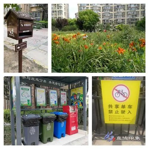 河东“创文创卫创城”专刊2020(324)期|他们的行动好暖心!河东区“五随时”义务清整再升级