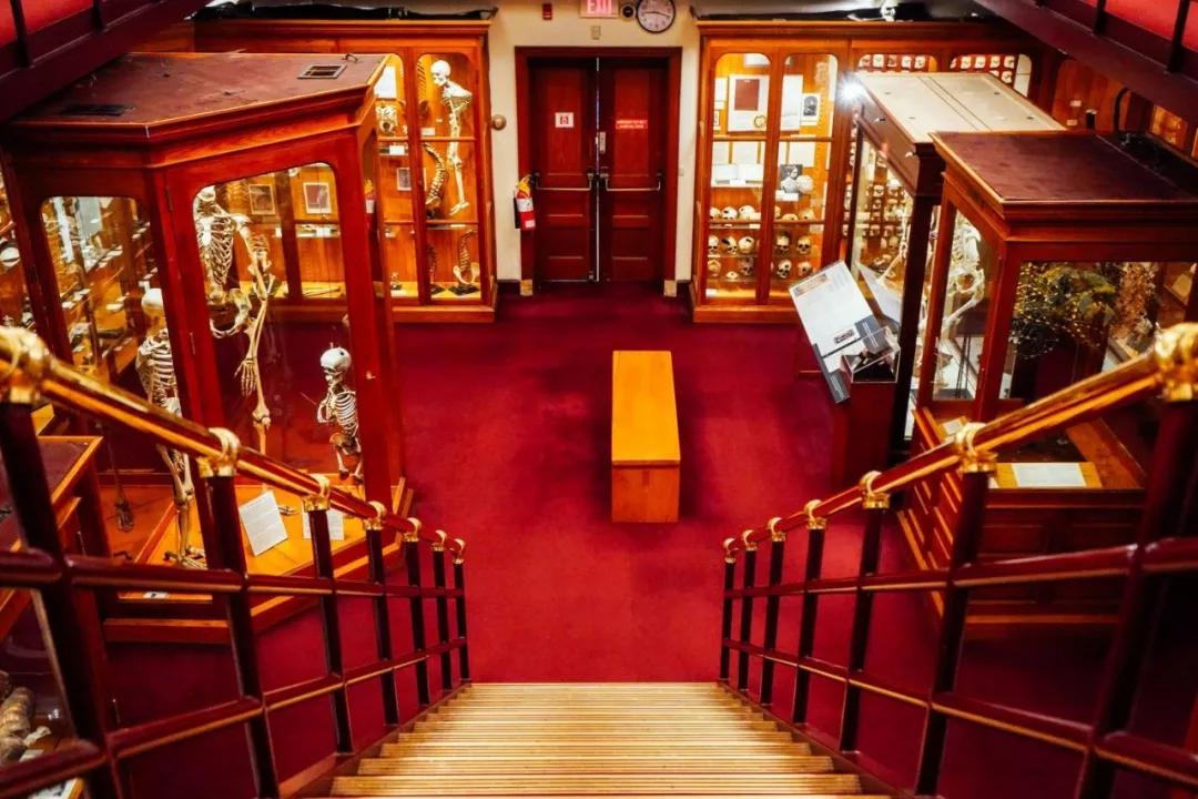 漫步费城的感受,来纽约旅行100个理由