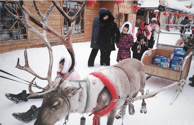 黑龙江牡丹江市有什么区,黑龙江牡丹江属于哪个地级市