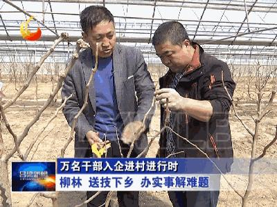 柳林财政所进村入户听民声解民忧,柳林开展入企进村服务工作