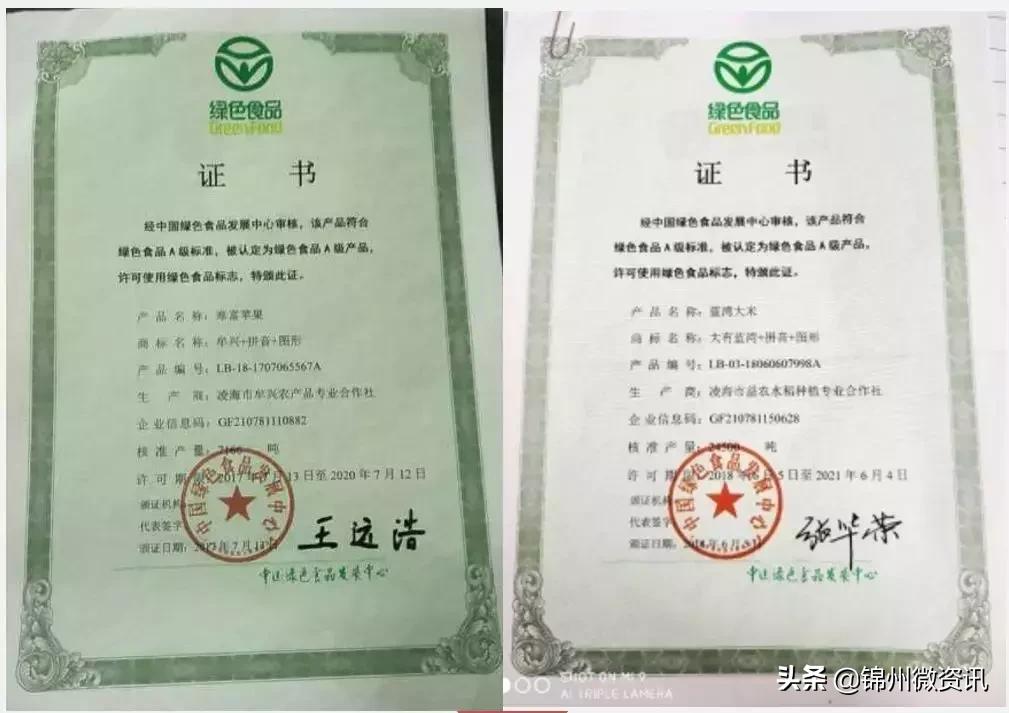 辽宁国家级示范区规划,辽宁凌海农业发展