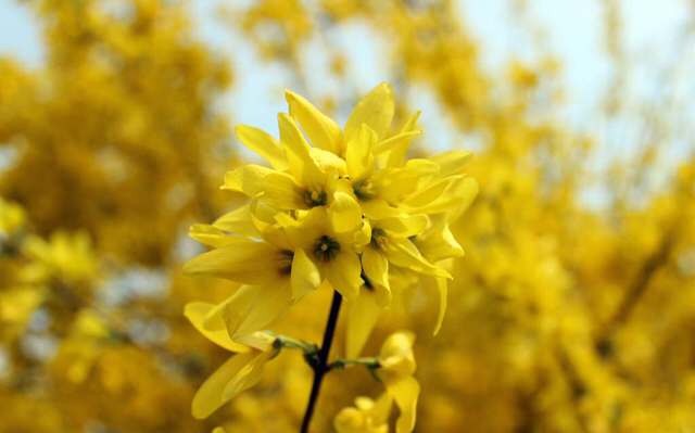 初唐四杰最著名的诗,初唐四杰及其代表诗作