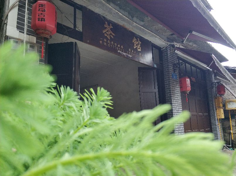 义渡古镇和走马古镇,走马古镇值不值得去