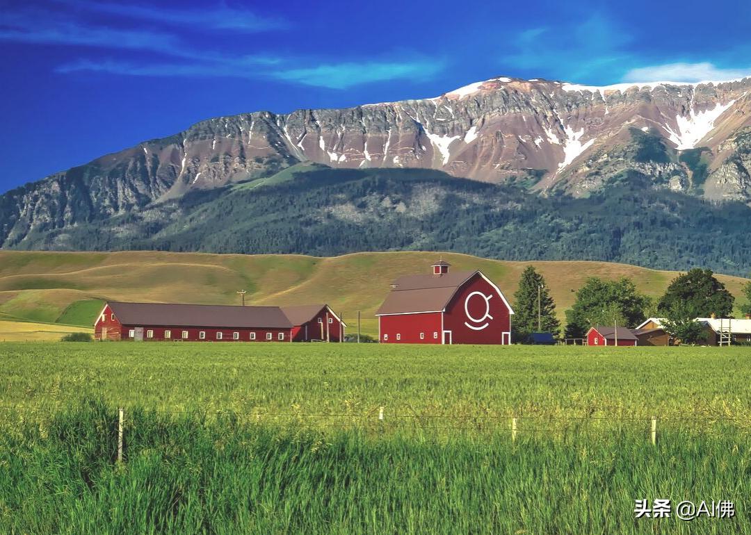 美国农田最多的州,美国哪个州的农场土地肥沃