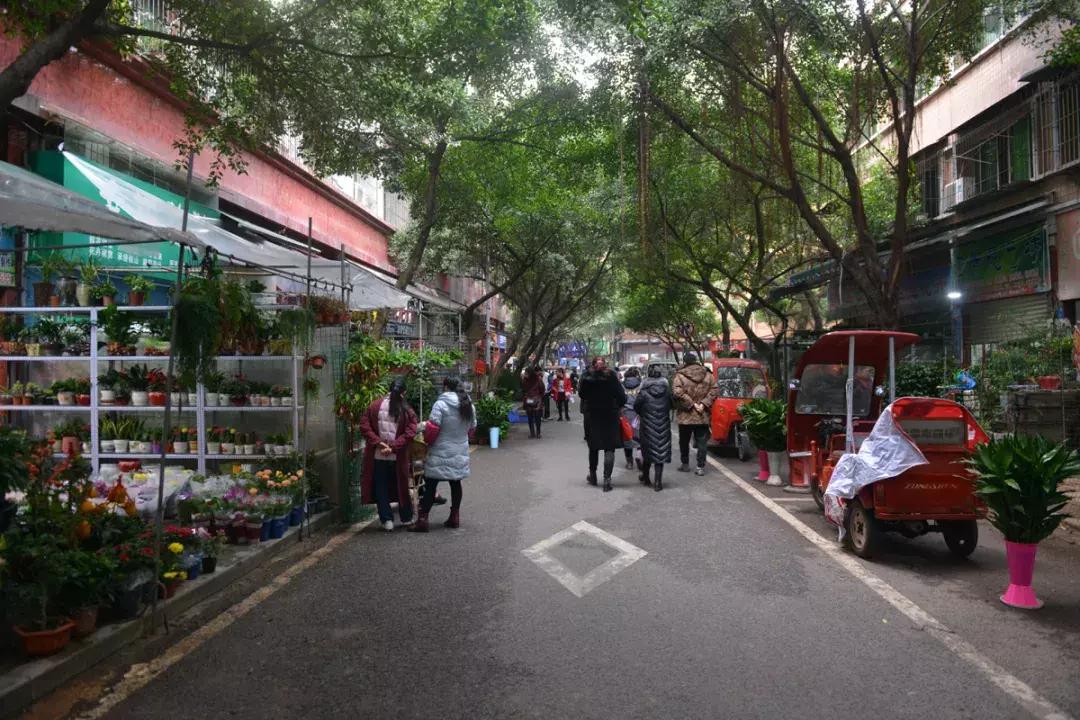 这一生必须去一次的地方,这一生要去一次丽江