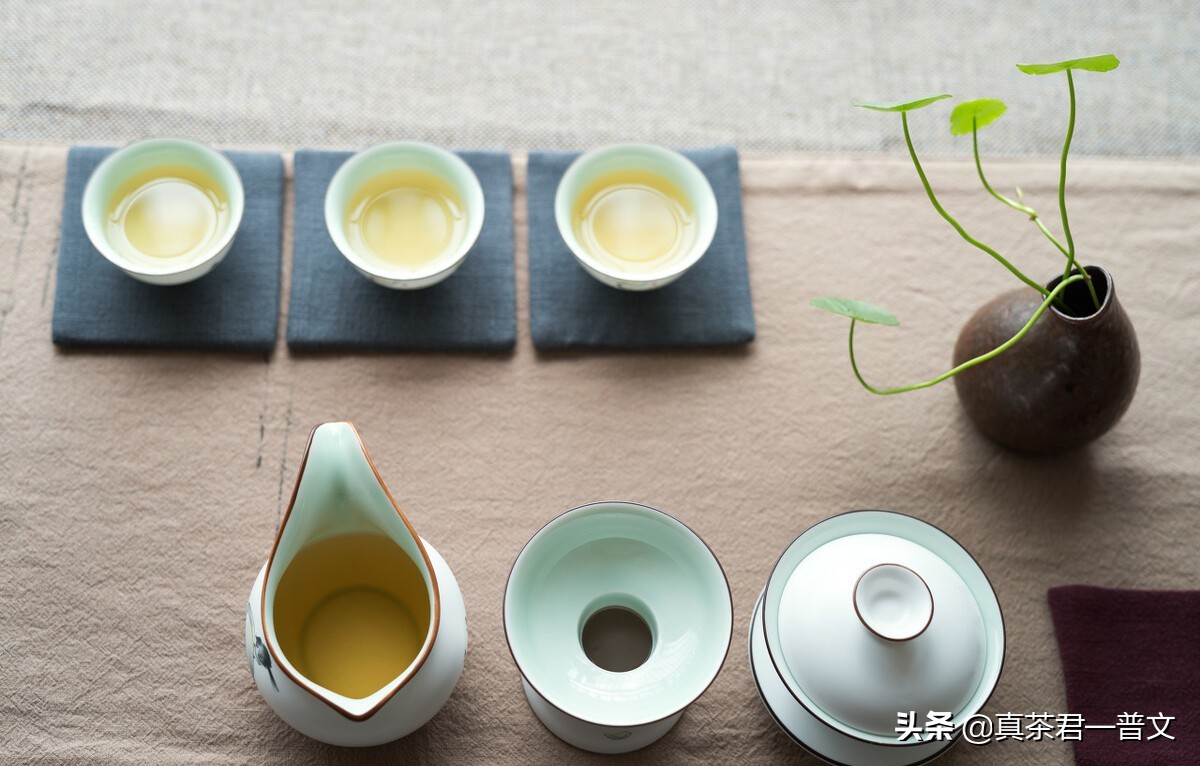 长期不喝黑茶会致癌吗,喝黑茶会致癌是真的吗