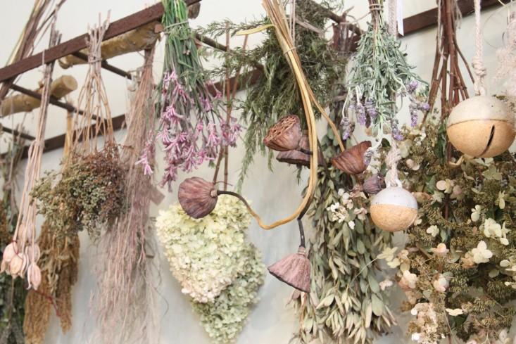 什么花都适用的制干花方法,哪些花卉做干花效果最好