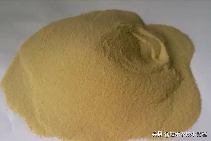 腐植酸氨基酸鱼蛋白肥料哪个更好,有机质肥料腐植酸海藻酸成分高吗